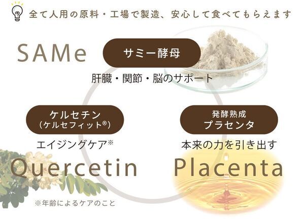 犬猫の【肝臓・関節・脳・免疫】をトータルサポート獣医師推奨のサミーサプリメントに「錠剤タイプ」が新登場