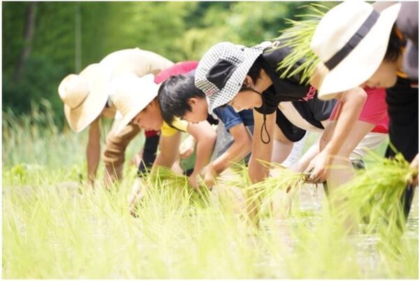 倉敷市のオルタナティブスクール「竹林のスコレー」中学部設立のためクラウドファンディングを開始