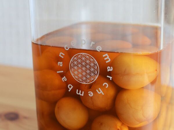 鮮度保持加工のEMBALANCE(エンバランス)と共同開発！おいしい果実酒やシロップ作りにぴったりの「premarchembalance 梅しごと」を4月1日に新発売