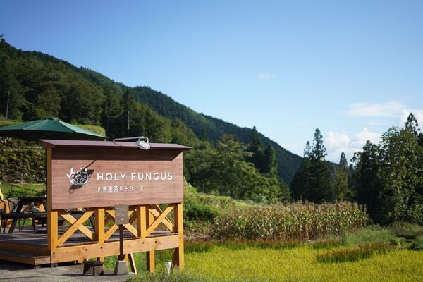 善玉菌が豊富なキャンプ場！女性キャンパー限定のオーガニックスキンケアのプレゼントキャンペーンを開催