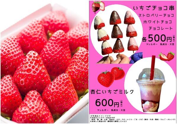 山梨フルーツのテーマパーク道の駅なんぶで苺づくしのスプリングフェス「苺一会」を3/28・29・30の3日間開催　