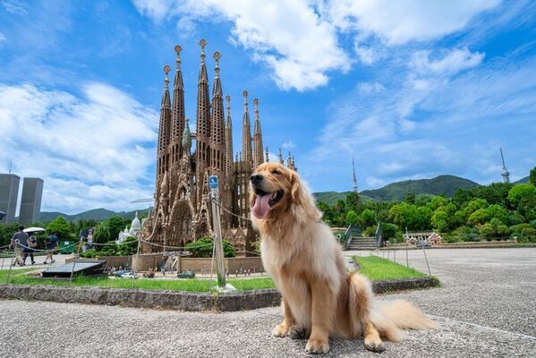 わんちゃんと入園できる「WORLDog!ふれんどりー」1周年記念