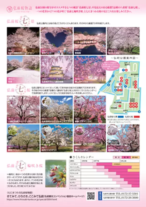 「弘前さくらまつり」2025年4月16日～5月5日開催　桜と弘前城天守と岩木山を一緒に見る春の景色は今年で最後