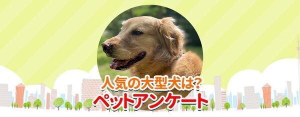 「もふもふの大型犬ランキング」を公開　子犬を見つける検索サイト「愛犬ブリーダー」が調査