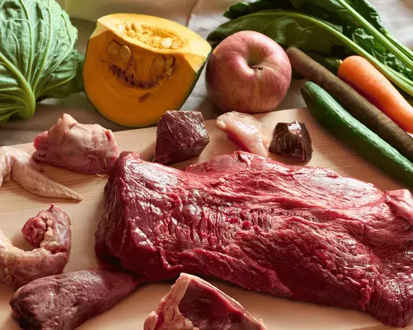 SNSで話題の「HUGBOX」インターペット2025に初出展！愛犬の健康を支える生食ブレンドフードをお届けします