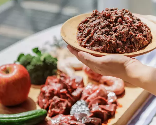 SNSで話題の「HUGBOX」インターペット2025に初出展！愛犬の健康を支える生食ブレンドフードをお届けします