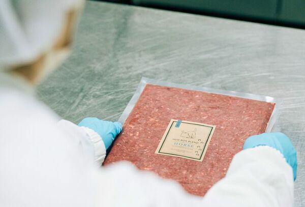 SNSで話題の「HUGBOX」インターペット2025に初出展！愛犬の健康を支える生食ブレンドフードをお届けします