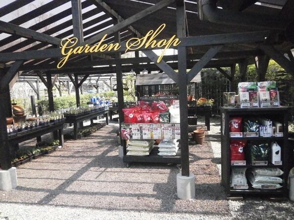 「軽井沢レイクガーデン」の2025年度の開園期間は4月18日(金)から11月3日(月・祝)まで　約400種類のイングリッシュローズなどが楽しめる！