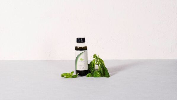 スーパーフード「筑後産クロレラ」が身近な調味料に！mochotto with CHLORELLAシリーズより3商品を発売