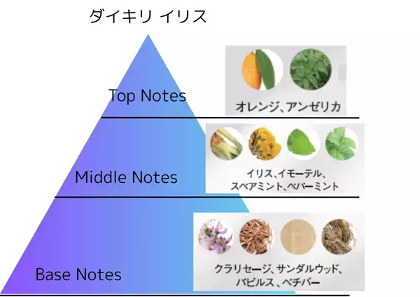 フランス・ロベルテ社とのコラボレーションで生まれた新たな香りの境地 シナリーオードトワレ。『Daiquiri vanilla・Daiquiri Iris』