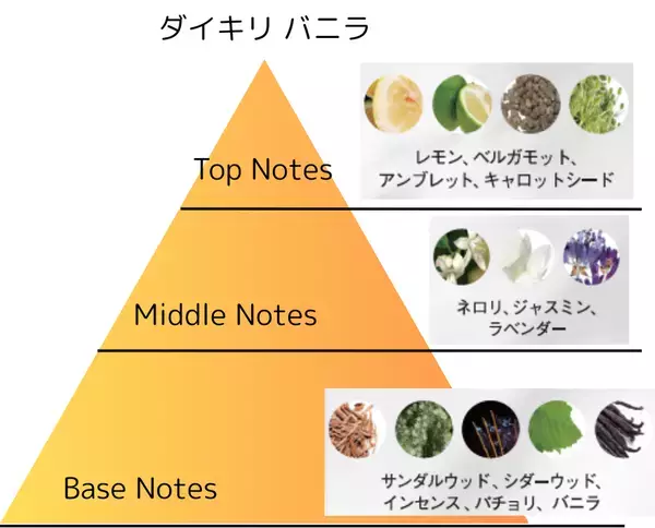 フランス・ロベルテ社とのコラボレーションで生まれた新たな香りの境地 シナリーオードトワレ。『Daiquiri vanilla・Daiquiri Iris』