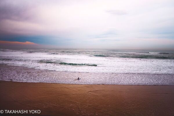 人気写真家の高橋ヨーコによる作品展“The Sound of Distance”を5月8日(木)～25日(日) 渋谷 シソンギャラリーにて開催