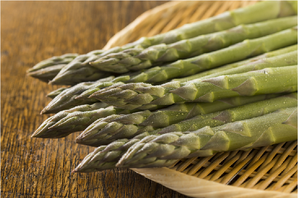 「熊の木彫り」など“昭和レトロ”を感じる北海道物産展名物を特集！「春の大北海道展」４月16日（水）から