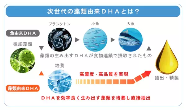 【リニューアル新発売】次世代の藻類由来DHAサプリメントで、ワンランク上の勉強、仕事を目指す方に『intelligence』