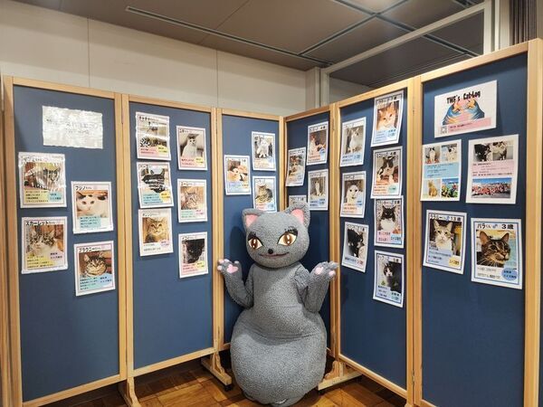 猫好きさんの祭典『にゃんだらけ18』が4/12、13に開催！270以上の出展ブースや、シニア猫のよりよい生活を考えるトークショー、猫ネタお笑いライブなど、“猫愛”満載の2日間！