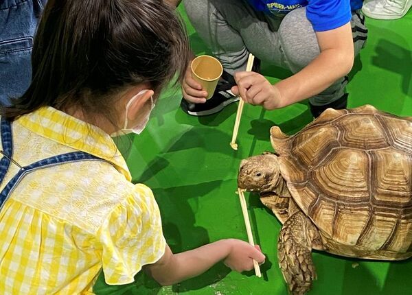 関西最大級！ペットの祭典「みんな大好き！！ペット王国2025」が5月3日・4日京セラドーム大阪にて開催