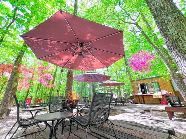 那須高原にも遅めの春がやってきた！那須高原の「グランピングカフェ＆BBQ“たき火”」が春の訪れを祝う「春のいちご祭り」を開催