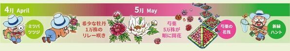 世界最大級の牡丹・芍薬庭園“奇跡のエシカルガーデン”「つくば牡丹園」2025年は4月9日(水)から開園　「芍薬の丘」新オープン＆“実生牡丹”初披露など見どころ満載