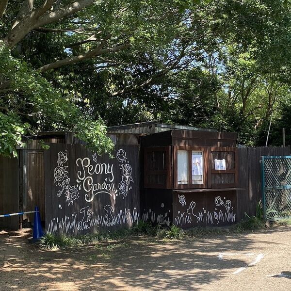 世界最大級の牡丹・芍薬庭園“奇跡のエシカルガーデン”「つくば牡丹園」2025年は4月9日(水)から開園　「芍薬の丘」新オープン＆“実生牡丹”初披露など見どころ満載