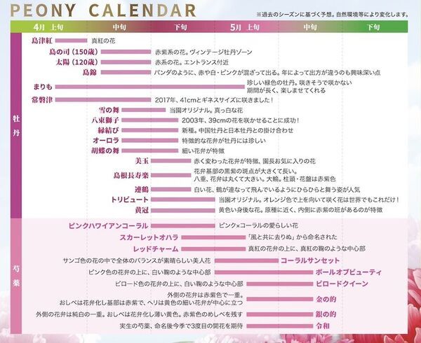 世界最大級の牡丹・芍薬庭園“奇跡のエシカルガーデン”「つくば牡丹園」2025年は4月9日(水)から開園　「芍薬の丘」新オープン＆“実生牡丹”初披露など見どころ満載