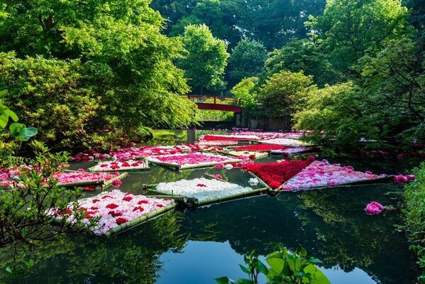 世界最大級の牡丹・芍薬庭園“奇跡のエシカルガーデン”「つくば牡丹園」2025年は4月9日(水)から開園　「芍薬の丘」新オープン＆“実生牡丹”初披露など見どころ満載