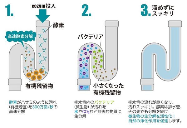 洗浄力に驚く、サステナブル！ベルギー発ナチュラル酵素洗剤「eezym」をリニューアル発売