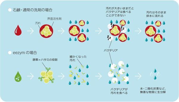 洗浄力に驚く、サステナブル！ベルギー発ナチュラル酵素洗剤「eezym」をリニューアル発売