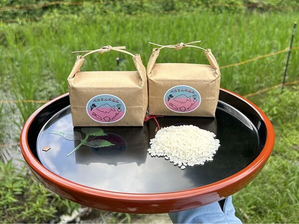 グローブライドが環境保全を支援する近畿大学(奈良キャンパス)の里山におけるビオトープが環境省「自然共生サイト」の認定評価を取得