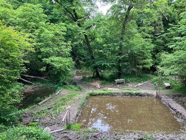 グローブライドが環境保全を支援する近畿大学(奈良キャンパス)の里山におけるビオトープが環境省「自然共生サイト」の認定評価を取得