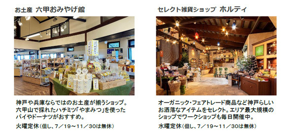 体験型アートイベント「シダレミュージアム2025 エモい展」イベント限定！オリジナルグッズ＆グルメの情報公開！