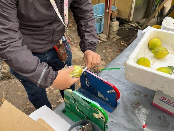 生産現場で野菜・果物づくりを目指す実践型農業スクール「竹と農の学校」が広島県呉市下蒲刈島で4月5日開校