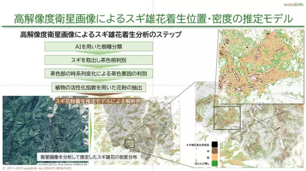 衛星データとAIで「花粉症対策 × 森林経営 × カーボンクレジット」を実現するリモートセンシング解析サービスを正式リリース