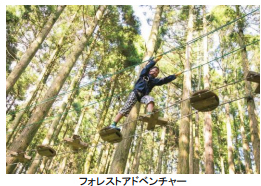 2025年ゴールデンウイークのお出かけは、六甲山アスレチックパークGREENIAがオススメ！