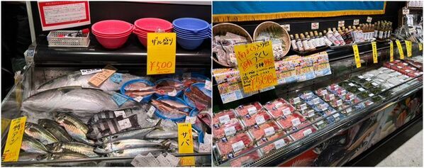 ＜漁港の駅TOTOCO小田原＞鮮魚コーナーを大幅リニューアル！市場から届く海の幸でつくるカレー専門店「小田原漁港カレー」もオープン