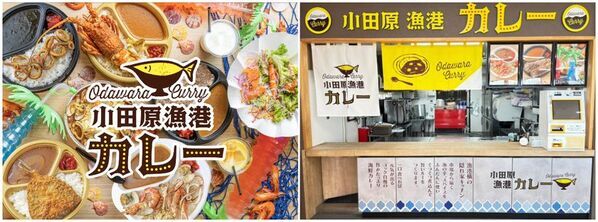 ＜漁港の駅TOTOCO小田原＞鮮魚コーナーを大幅リニューアル！市場から届く海の幸でつくるカレー専門店「小田原漁港カレー」もオープン