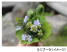 ROKKO森の音ミュージアムSIKIガーデンEarly Summer Seasonツツジ、オオデマリなどに彩られた初夏のガーデン2025年5月7日（水）～6月20日（金）