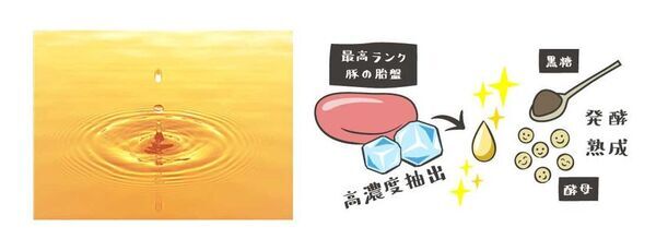 年齢とともに変化を感じる方の健康的な生活をサポートする注目成分配合のサプリメントが新登場！