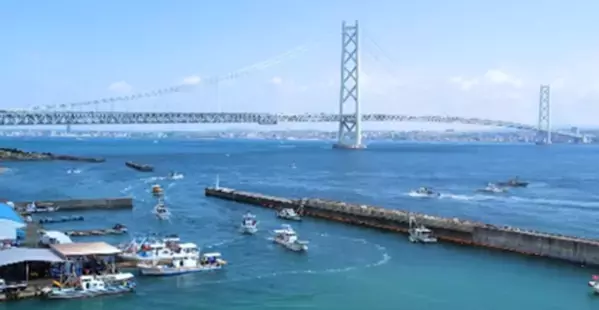 4月25日に淡路島の生しらす丼、全島一斉スタート！15周年を迎え、地域団体商標を取得