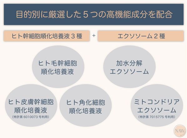 頭皮に悩む人々へ“実感重視”処方のアイテムが登場！「頭皮・毛髪特化型 集中ケア美容液」クラウドファンディング実施