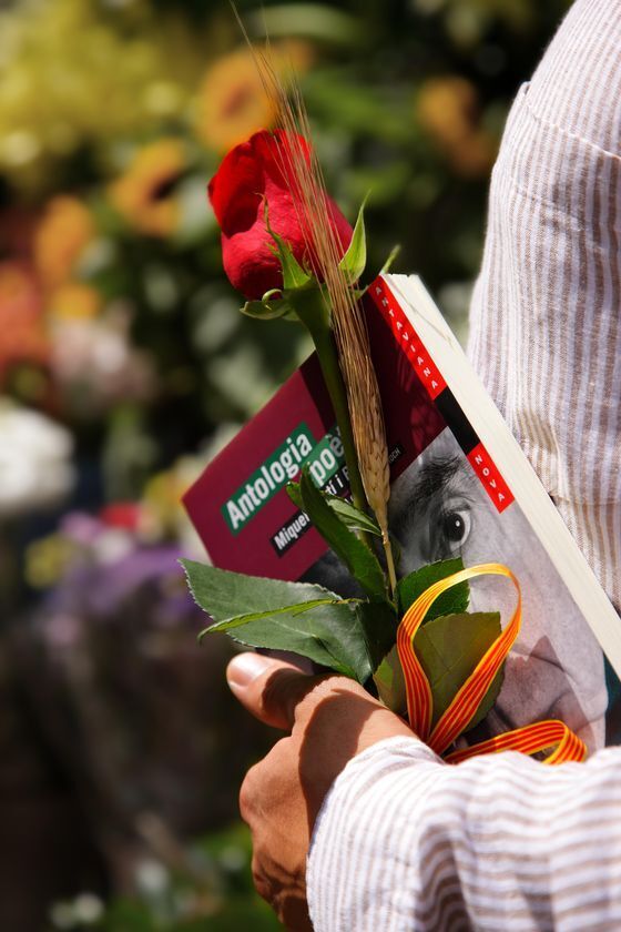 〈成安造形大学×カタルーニャ州政府 日本事務所×team ViVida〉成安造形大学にてカタルーニャの文化を伝える本のワークショップと展示イベントを2025年4月22日-26日に開催