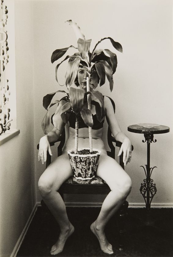 清里フォトアートミュージアム開館30周年記念展後期「写真と肖像 顔から風景へ」7月5日(土)～10月13日(月・祝)開催