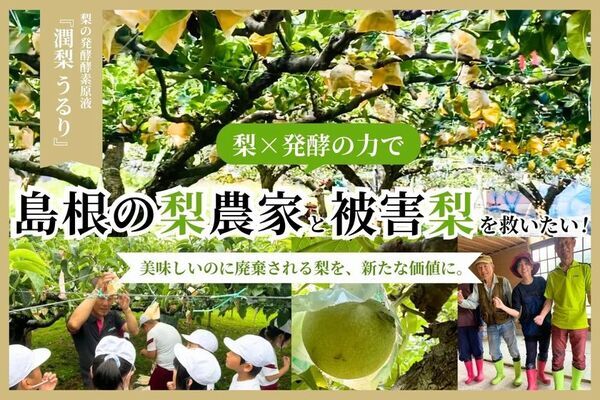 島根県の“被害梨”を活用した発酵酵素ドリンク「潤梨(うるり)」の先行予約販売を6月7日まで実施