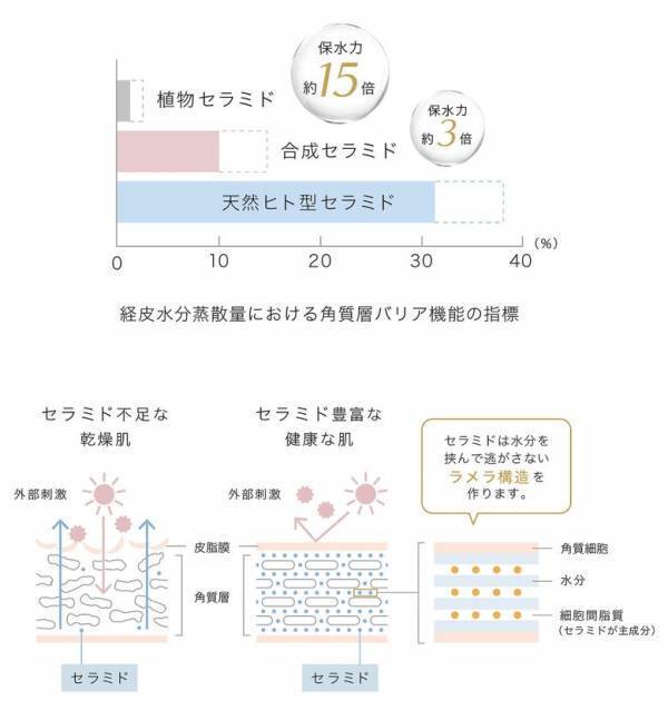 新スキンケアブランド『R SKIN』が誕生　第一弾アイテムを2025年5月12日より販売開始！ゆらぎやすい現代肌に、“攻めないスキンケア”という選択肢を