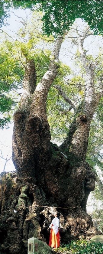 JR来宮駅構内に“熱海プリン”が誕生！？「熱海プリン 来宮駅店」が4月25日(金)9時オープン
