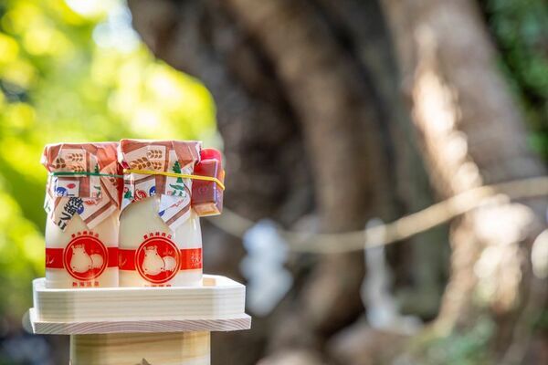 JR来宮駅構内に“熱海プリン”が誕生！？「熱海プリン 来宮駅店」が4月25日(金)9時オープン