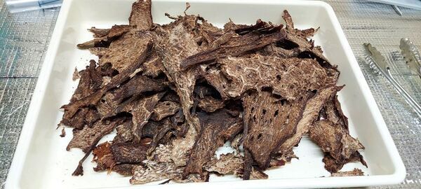 GW到来！ワンちゃんとのお出掛けシーズンに向けて！愛犬用おやつ「愛鷹山麓鹿肉ジャーキー」の販促強化を実施