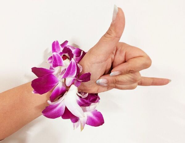 〔アトレ新浦安〕ハワイの風を感じる「SHINURA FESTA」開催！うらやす財団とのコラボイベントも