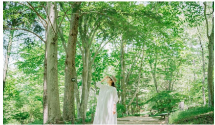 【六甲高山植物園】5月4日（日）は「みどりの日」新緑が見頃です