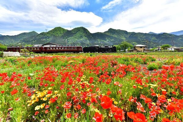 乗って押して学ぶ、秩父鉄道ならではのディープな企画4/19～12/7「SLのおしごと大解剖スタンプラリー」　SLについて知りながらスタンプを集めてコンプリートを目指そう