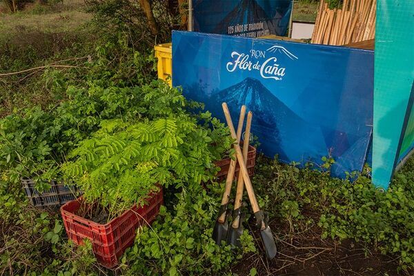 “飲むこと”が未来へのアクションに　地球に優しい一杯を　サステナブルなラム酒「フロール・デ・カーニャ」『EARTH MONTH サステナブル・カクテルフェア』を開催
